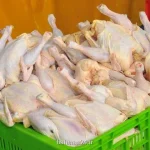 درخواست اتحادیه مرغداران برای جمع آوری مرغ اضافه قبل از رمضان و نوروز